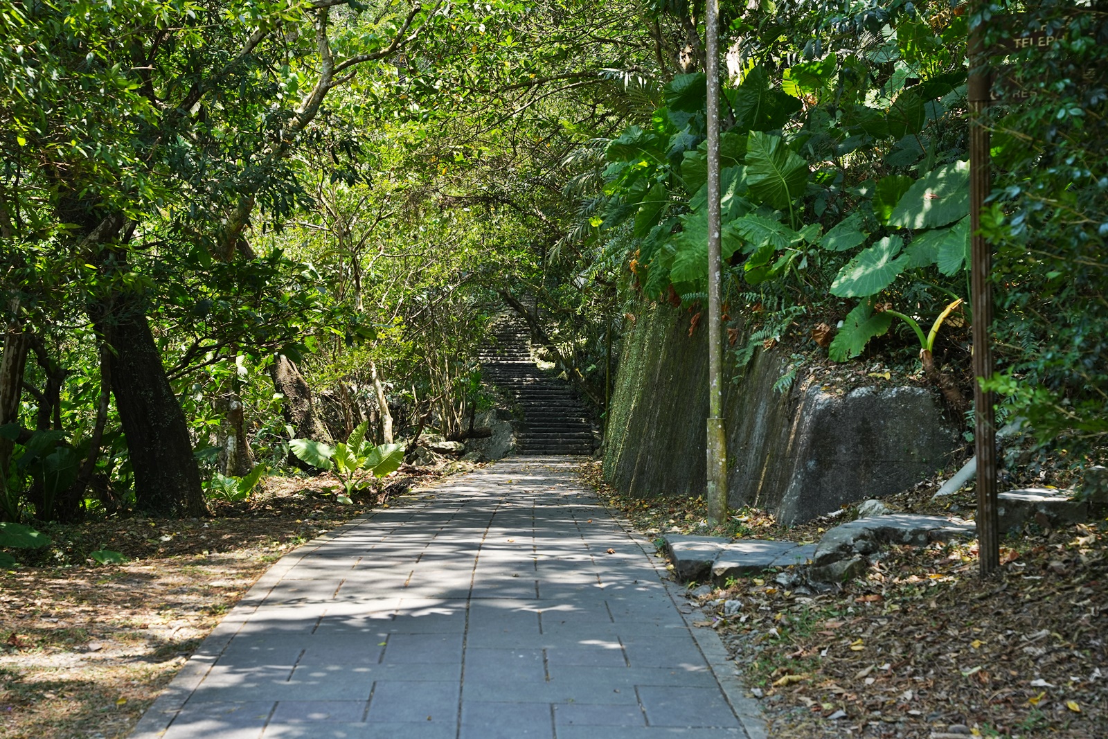 五峰旗瀑布,宜蘭戲水,宜蘭溫泉魚免費,宜蘭瀑布,宜蘭礁溪景點推薦