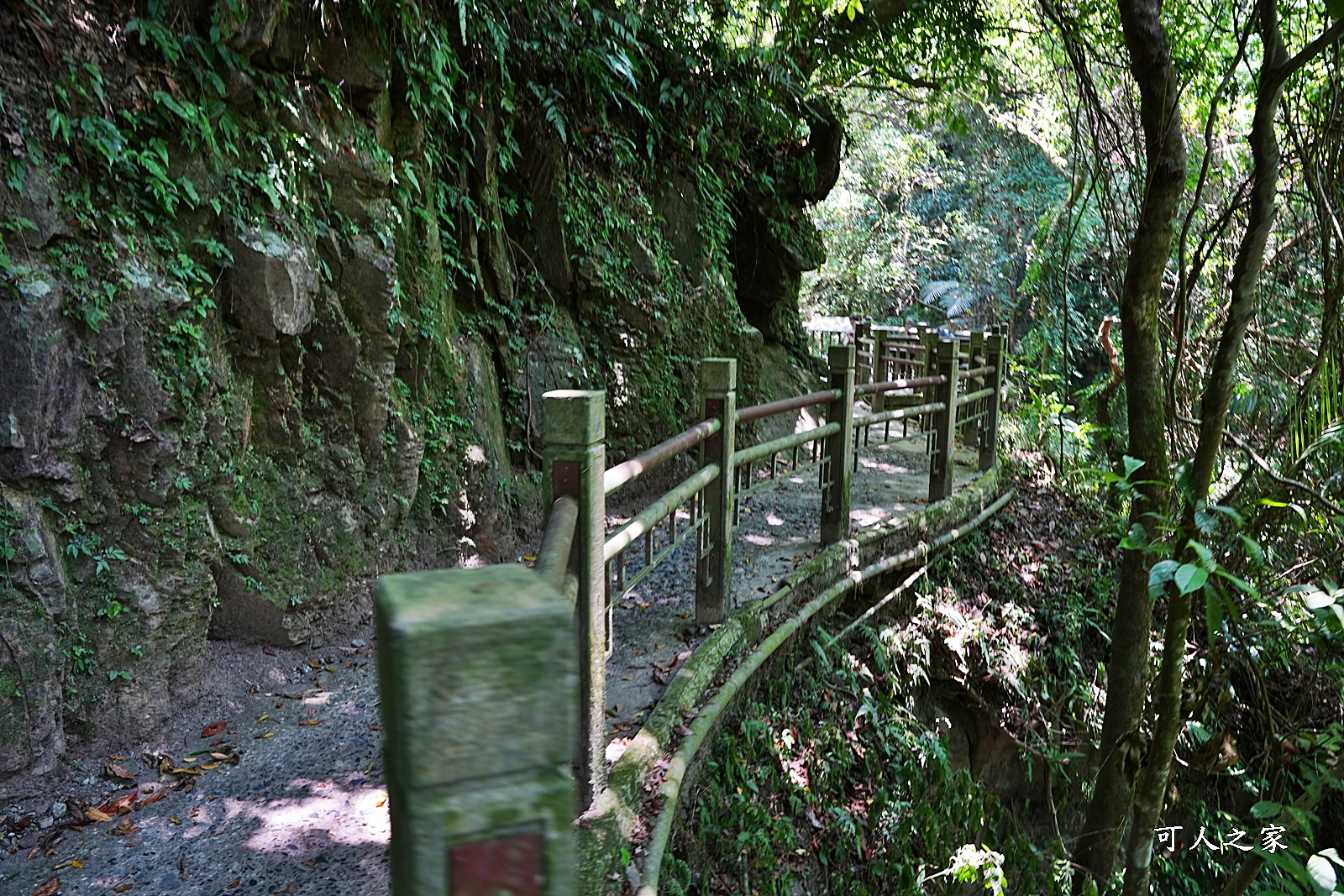 五峰旗瀑布,宜蘭戲水,宜蘭溫泉魚免費,宜蘭瀑布,宜蘭礁溪景點推薦