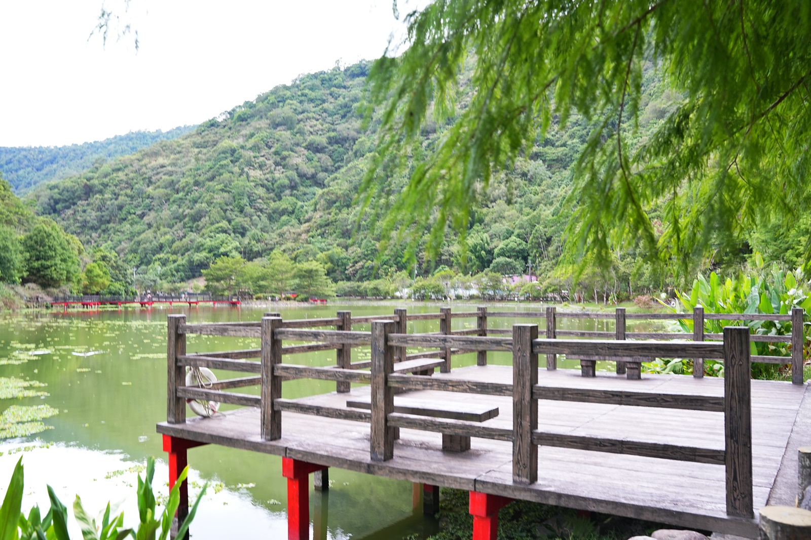 宜蘭小吃餐廳,宜蘭美食,望龍埤,望龍埤鵝肉攤