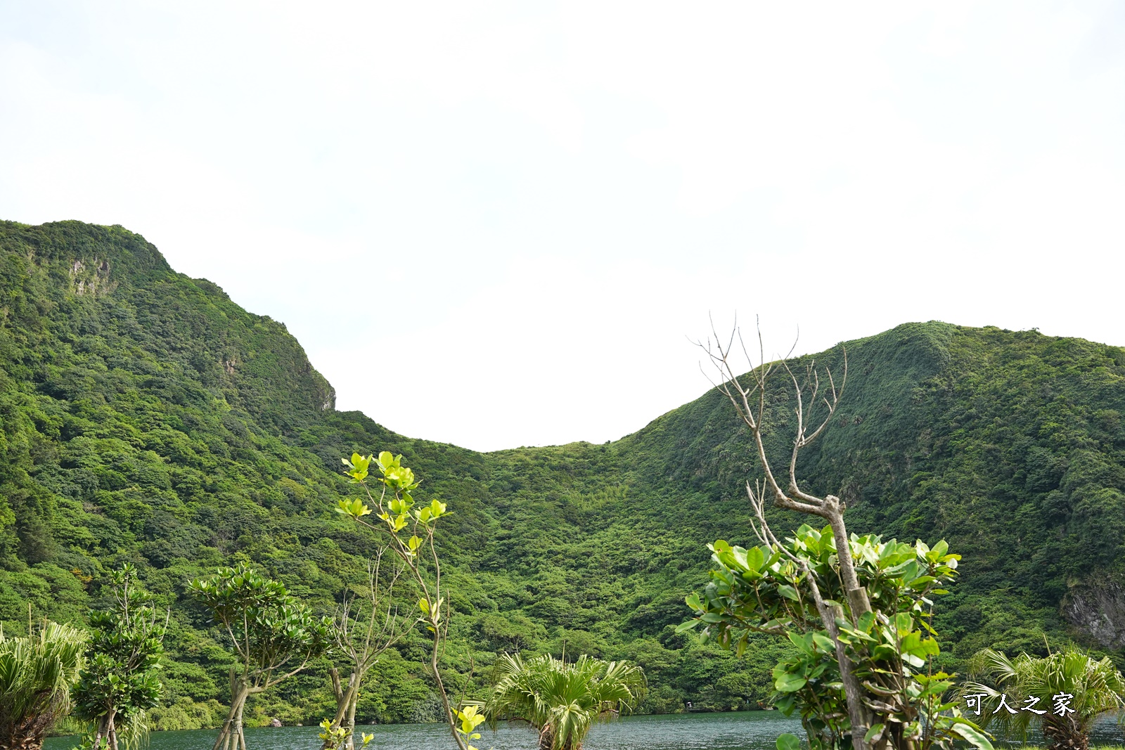 401高地預約,北極星號,宜蘭登龜山島看牛奶湖,宜蘭賞鯨豚,牛奶湖,賞鯨之旅,龜山島登島