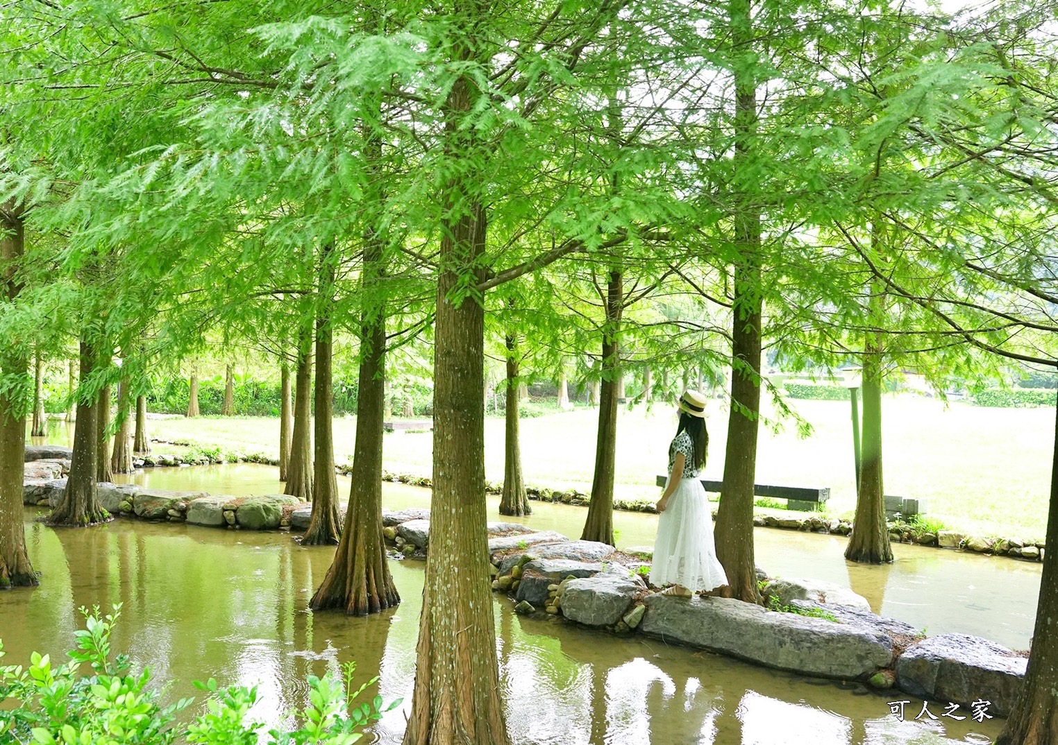 南投埔里景點,南投埔里美食,南投新景點,南投日式餐廳,南投有什麼可以玩,南投甜點埔里,南投美食咖啡飯