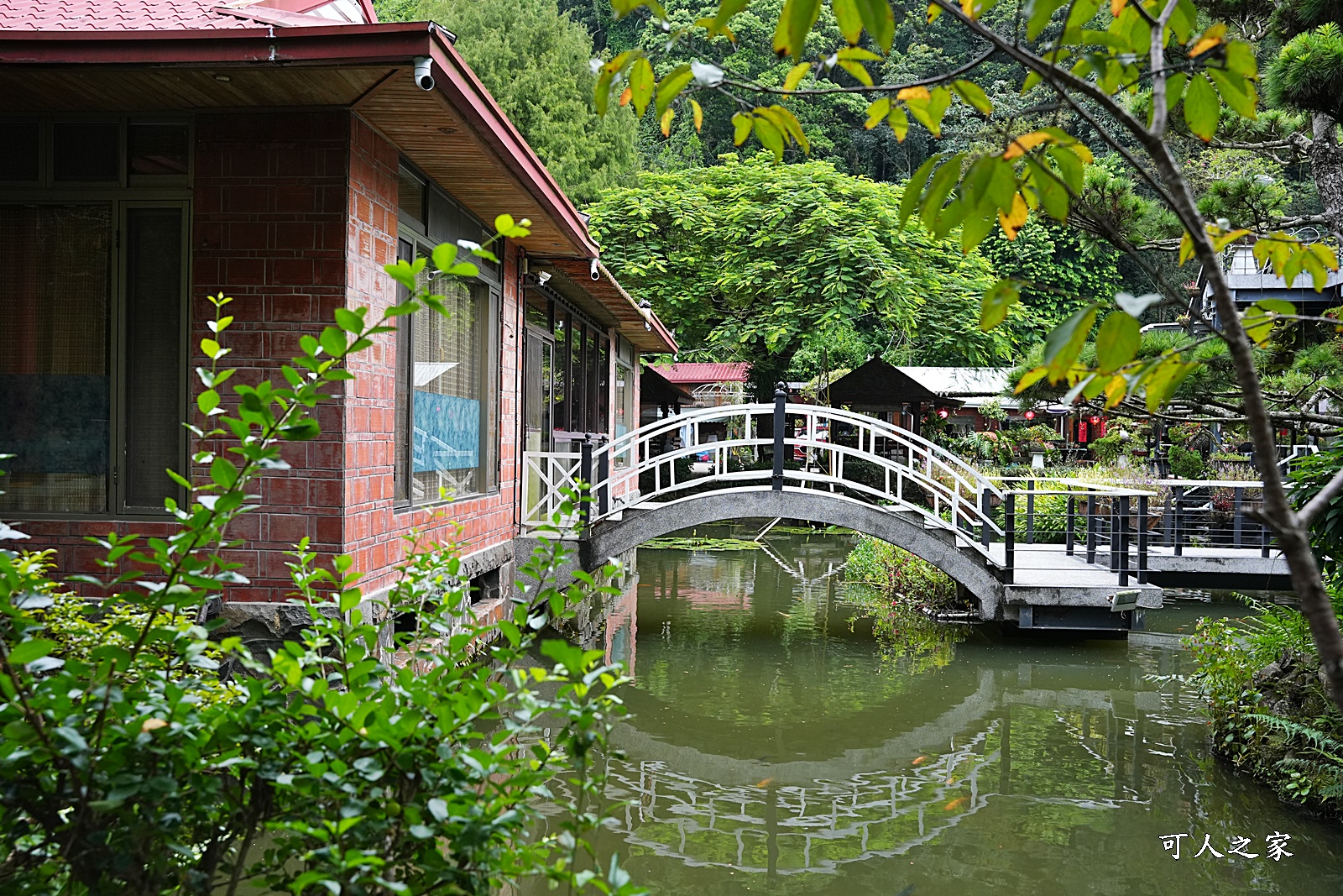 土角厝水上庭園餐廳,埔里聚餐合菜