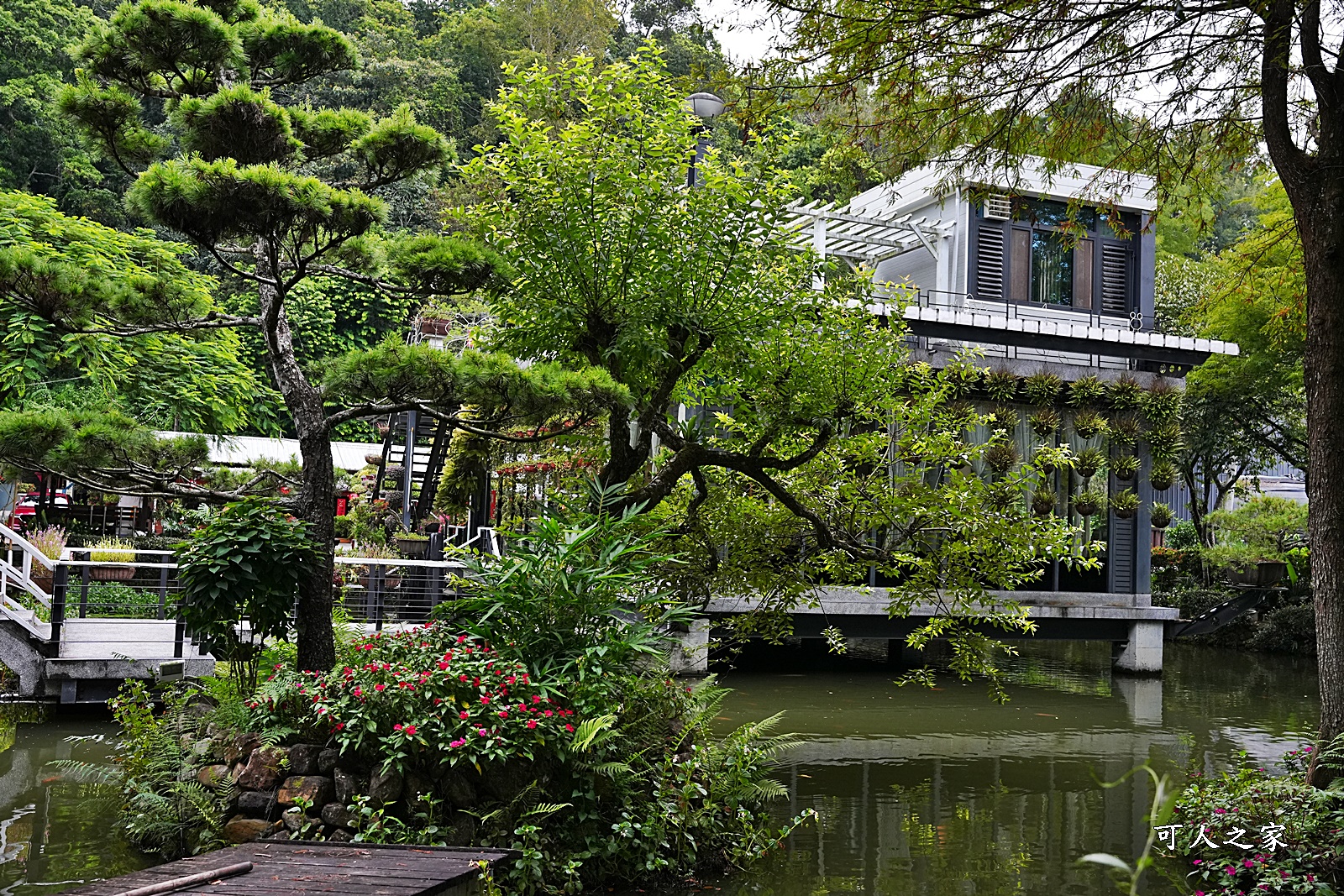 土角厝水上庭園餐廳,埔里聚餐合菜