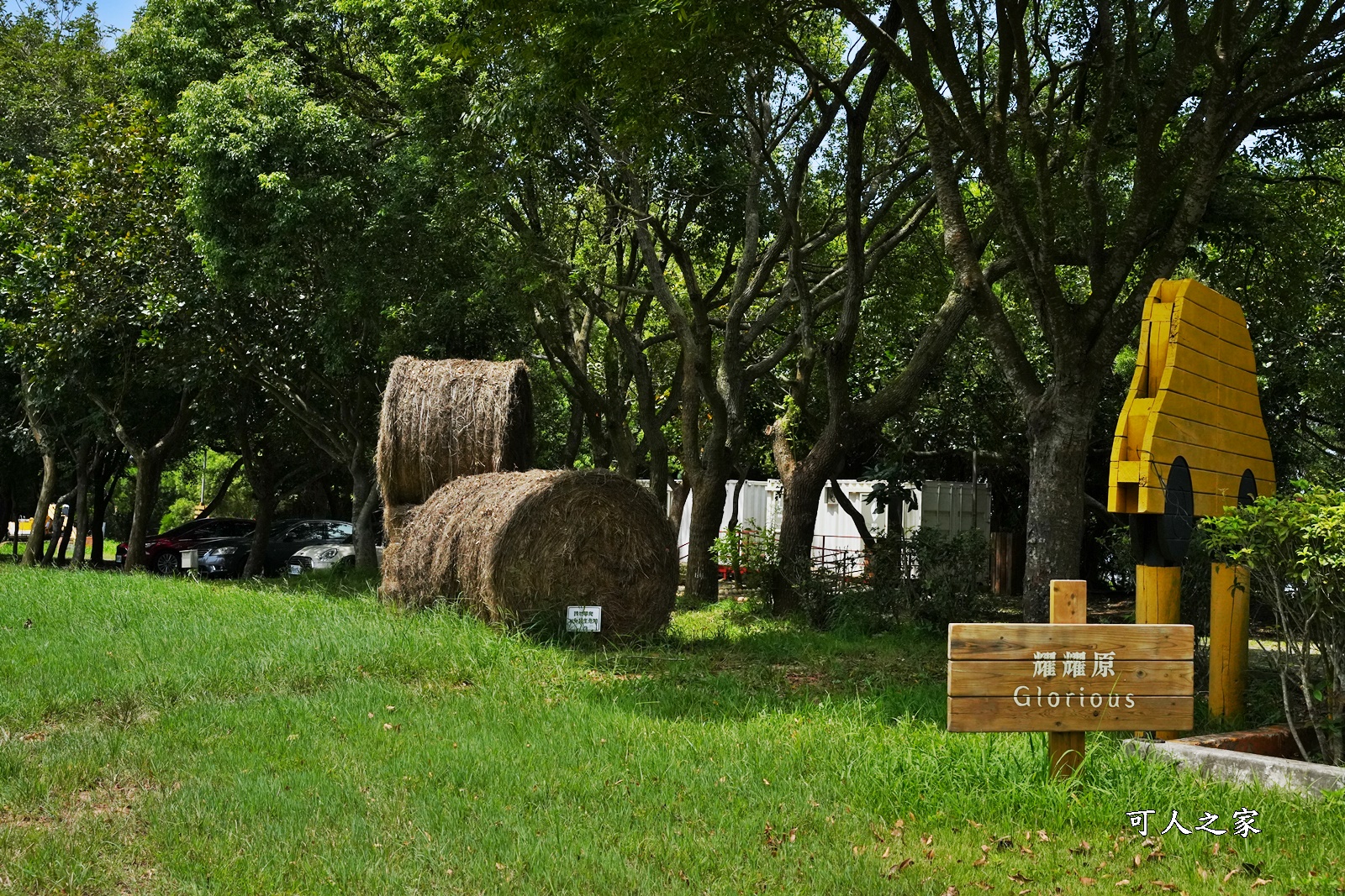 一泊三食台中,台中免搭帳露營區,台中外埔露營,森渼原露營區,露營送瑜伽