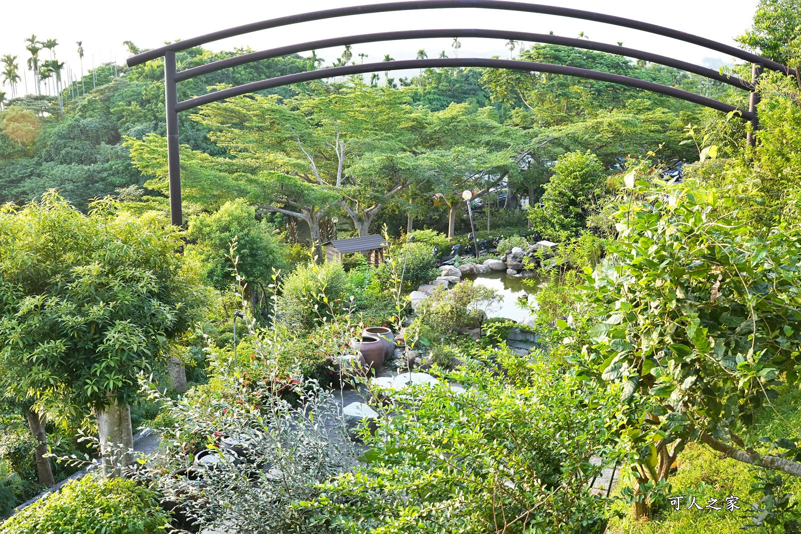 嘉義仁義潭水庫餐廳,清豐濤月景觀餐廳,菜單