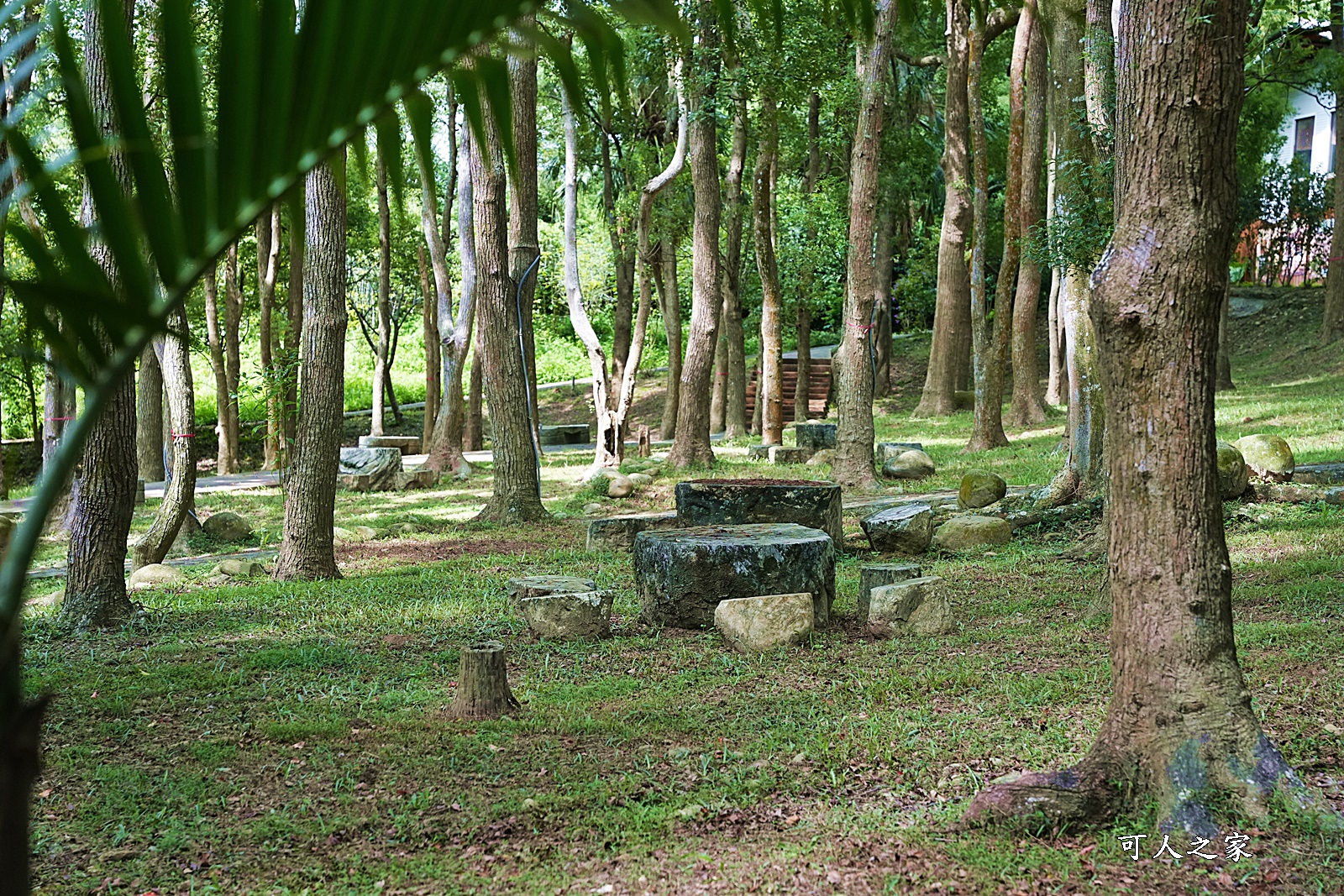 上田咖啡休閒莊園