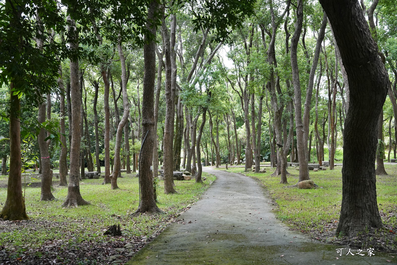 上田咖啡休閒莊園