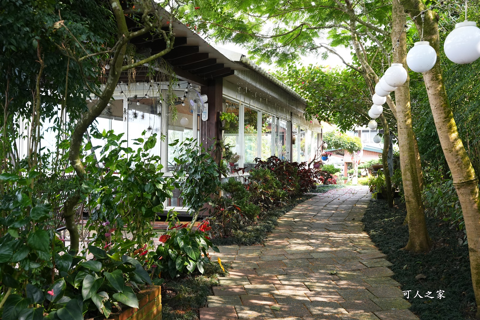 丞豐休閒農莊,古坑景點,古坑華山,華山最高景觀餐廳