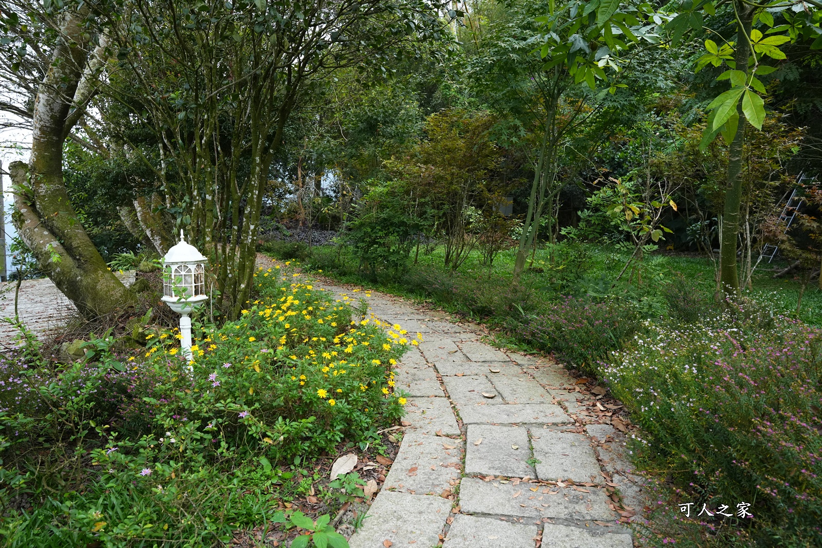 丞豐休閒農莊,古坑景點,古坑華山,華山最高景觀餐廳