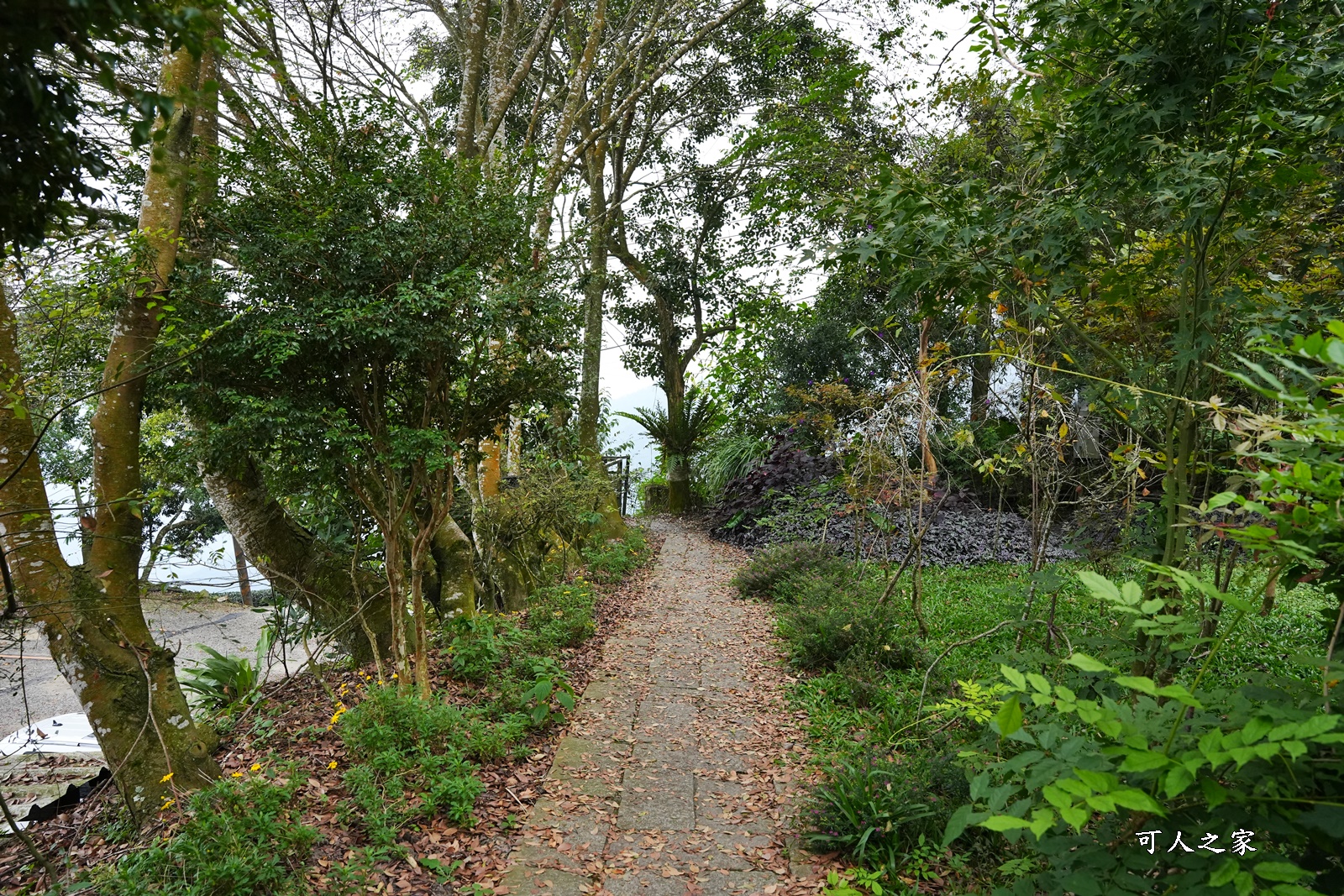 丞豐休閒農莊,古坑景點,古坑華山,華山最高景觀餐廳