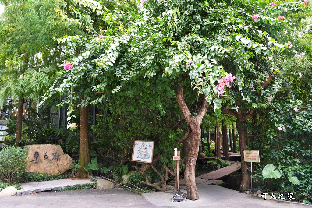 享自在休閒生態園區,台中新社景點,歲月山丘享自在,波爾羊,落羽松水上步道,體驗奉茶和一顆鳳梨酥,鹿寮享自在