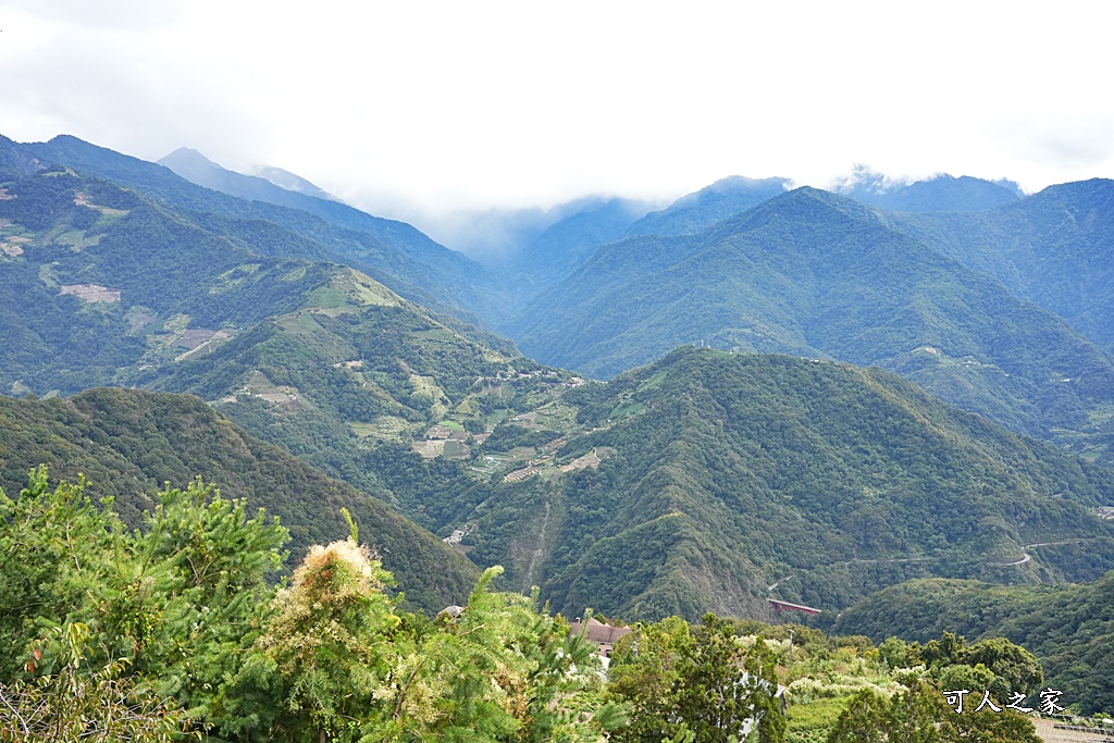 來福居景觀餐廳,來福居玻璃屋,南投清境下午茶,精選文章