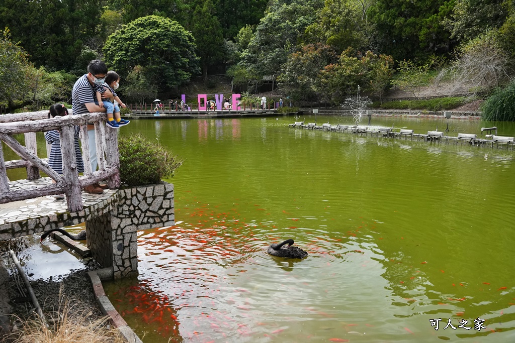 2022小瑞土花園,南投景點,南投清境農場