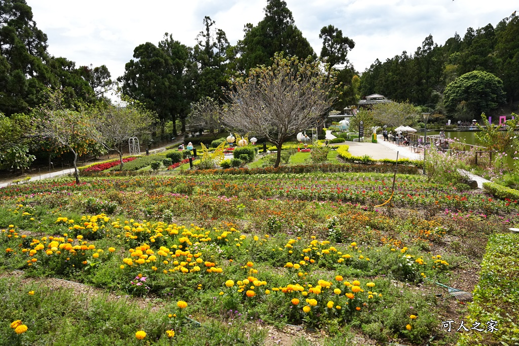 2022小瑞土花園,南投景點,南投清境農場