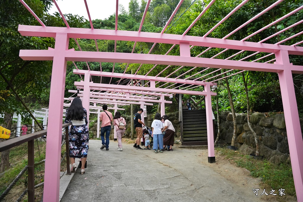 千野村日式景觀餐廳,高雄新景點,高雄日本風,高雄田寮新景點