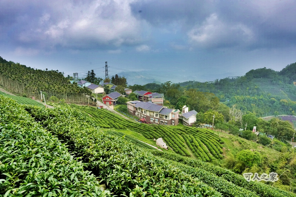 丞豐休閒農莊,古坑景點,古坑華山,華山最高景觀餐廳 @可人之家