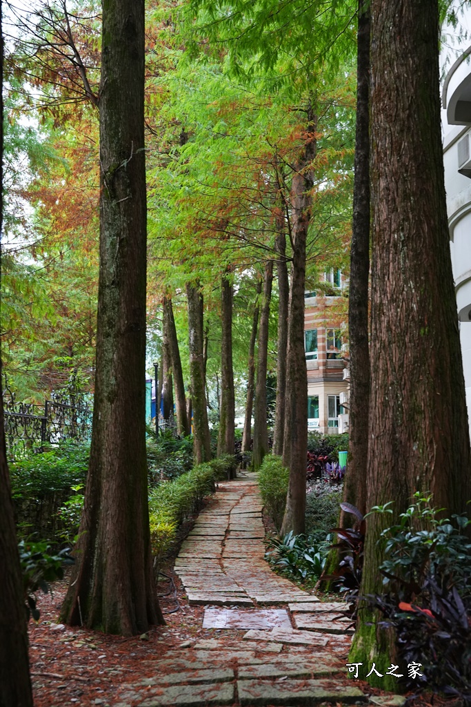 下午茶,南投下午茶,南投埔里城堡,南投埔里用餐,埔里住宿,埔里景點