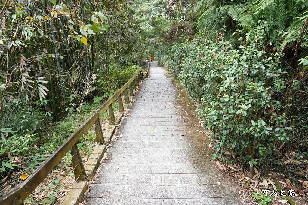 360度景觀,慈恩塔