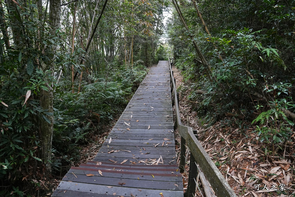 土亭仔步道,日月潭周邊景點,日月潭步道推薦