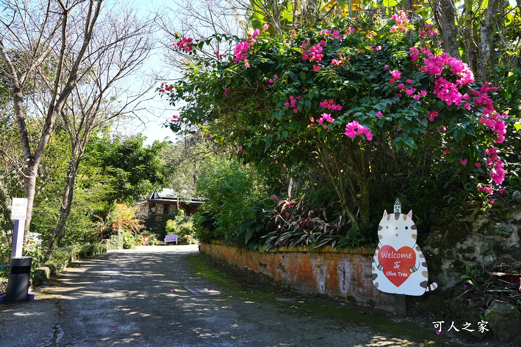 南庄橄欖樹咖啡民宿,童話故事小屋