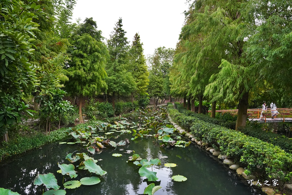 人間食解下午茶,台中沙鹿景點,台中落羽松景點