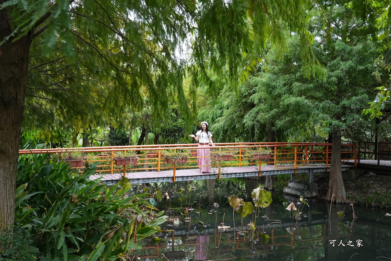 人間食解下午茶,台中沙鹿景點,台中落羽松景點