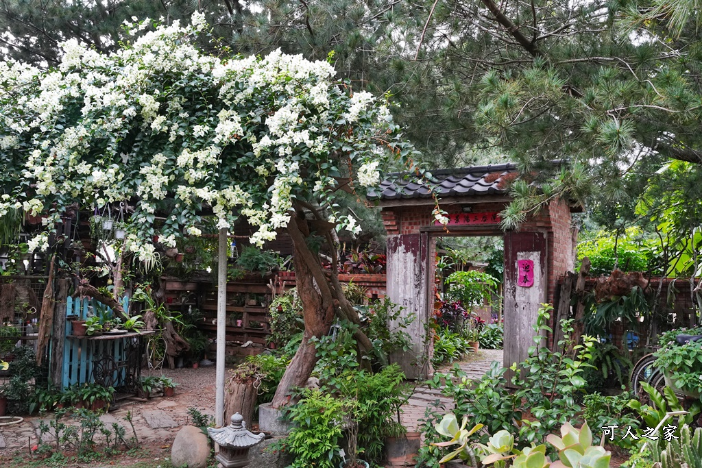 人間食解下午茶,台中沙鹿景點,台中落羽松景點