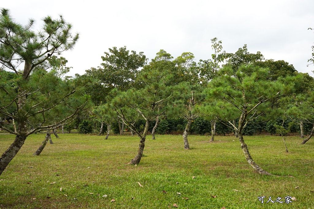 南投圓樓,南投落羽松,珈溪園