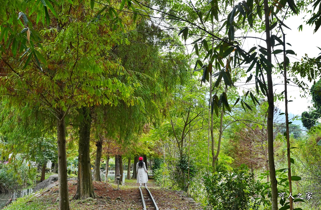 南投圓樓,南投落羽松,珈溪園