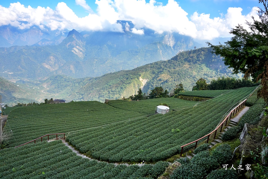 花石溪步道~巃仔尾步道