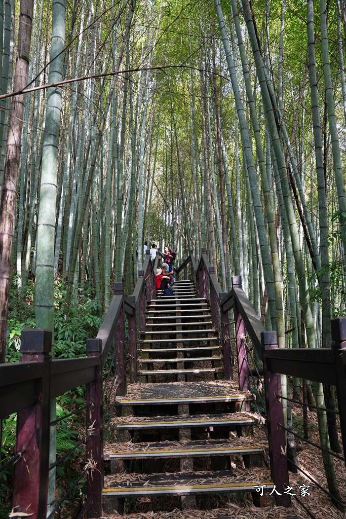 石棹步道群-霞之道