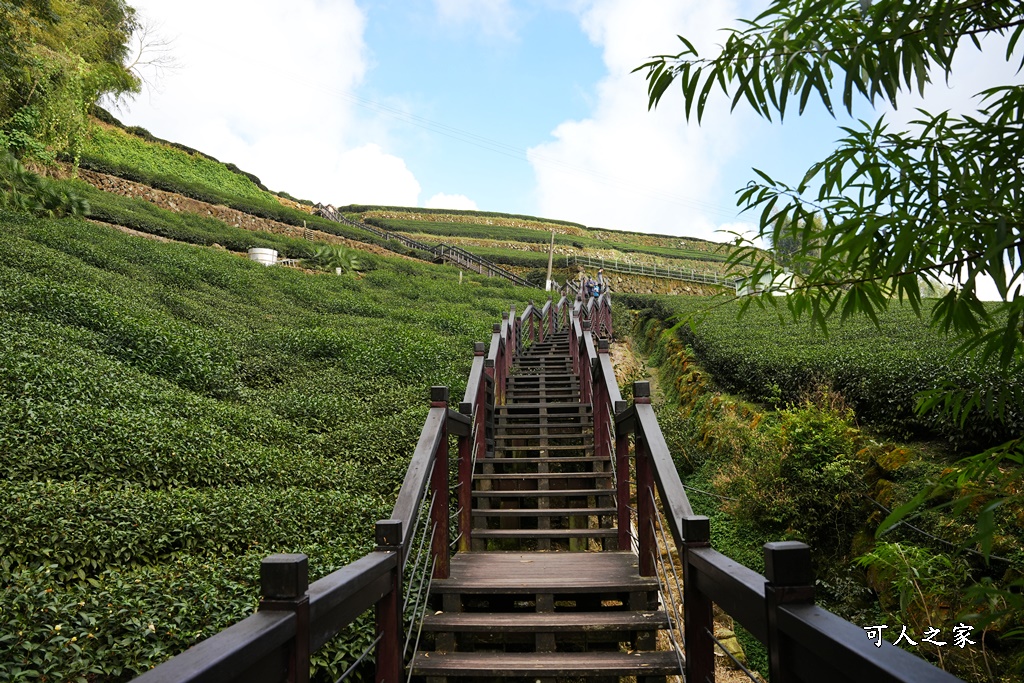 石棹步道群-霞之道