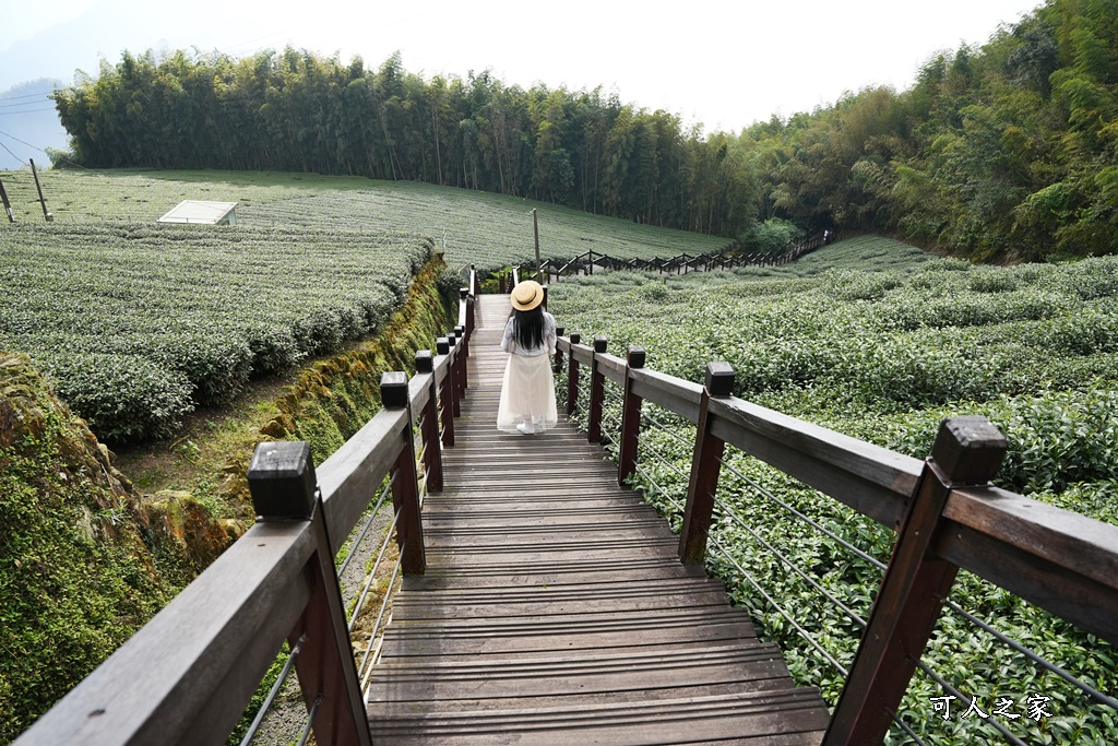 石棹步道群-霞之道