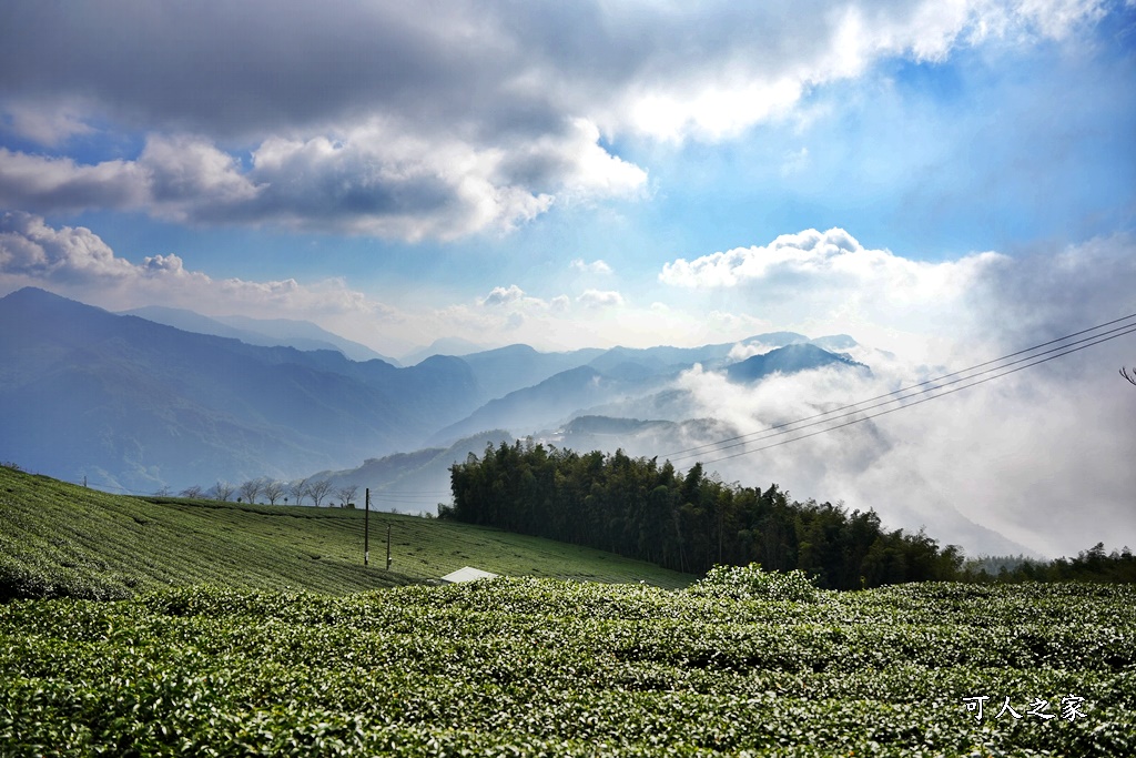 嘉義石棹步道群,嘉義雲海,石棹 步道霞之道步道,竹林秘境,霞之道南口