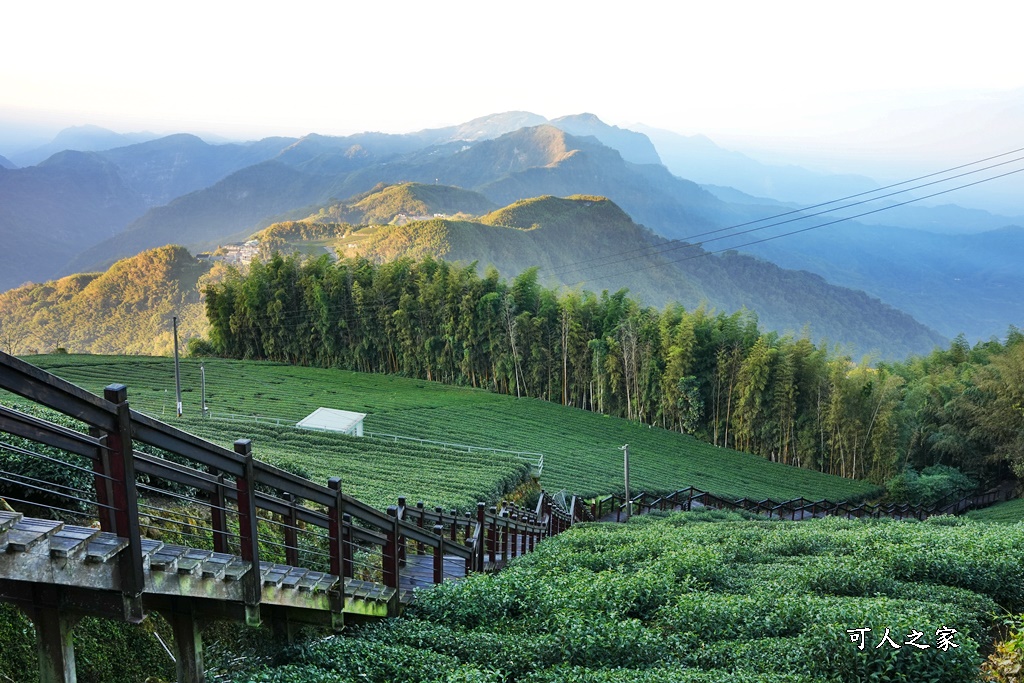 嘉義石棹步道群,嘉義雲海,石棹 步道霞之道步道,竹林秘境,霞之道南口