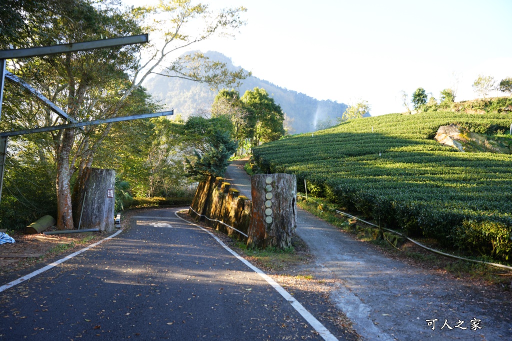 大象山步道,巃仔尾步道,花石溪步道