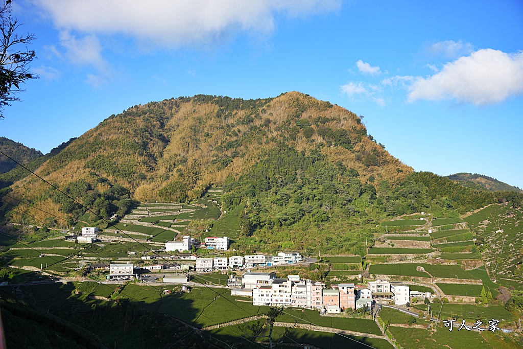 大象山步道,巃仔尾步道,花石溪步道