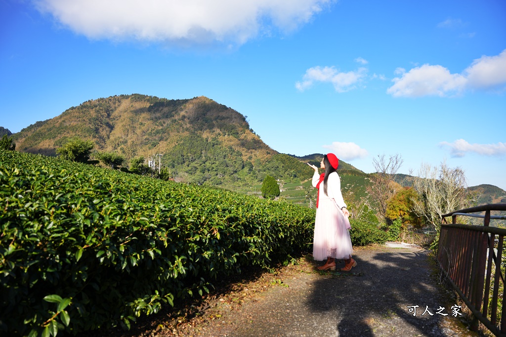 大象山步道,巃仔尾步道,花石溪步道