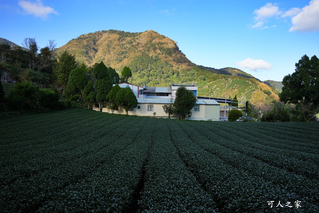 大象山步道,巃仔尾步道,花石溪步道