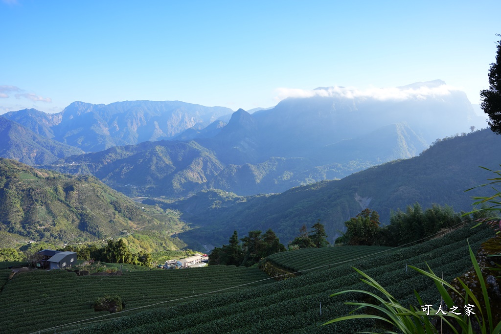 大象山步道,巃仔尾步道,花石溪步道