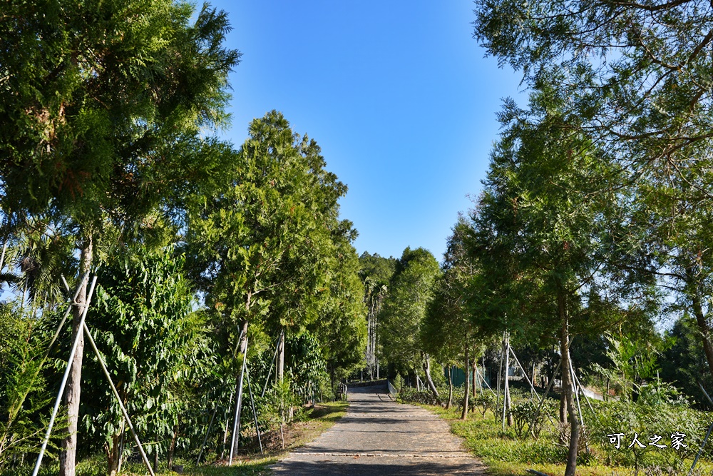 南投魚池鹿篙咖啡莊園,日月潭2日遊,魚池景點怎麼玩