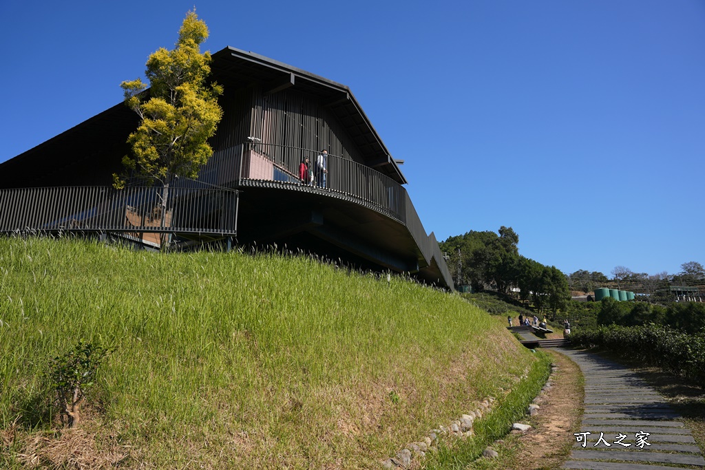 南投魚池鹿篙咖啡莊園,日月潭2日遊,魚池景點怎麼玩