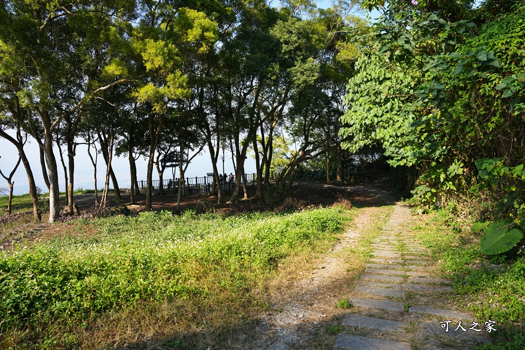 枕頭山觀景台