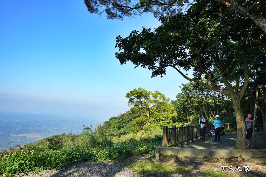 枕頭山觀景台