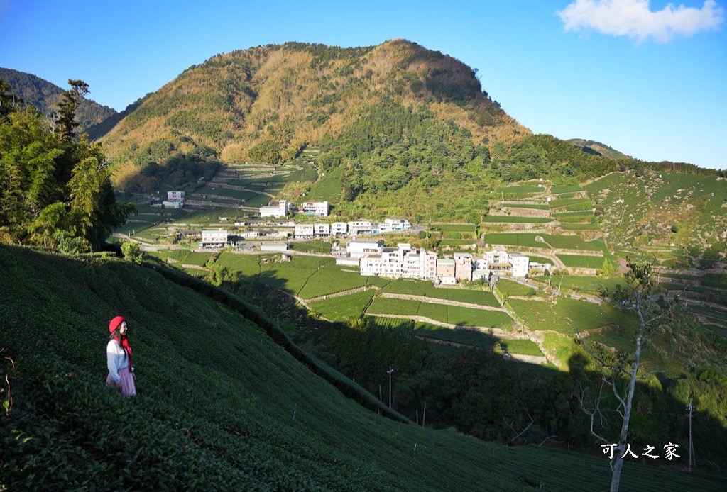 大象山步道,巃仔尾步道,花石溪步道