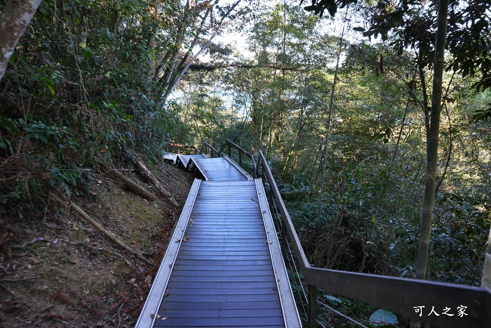 水蛙頭步道