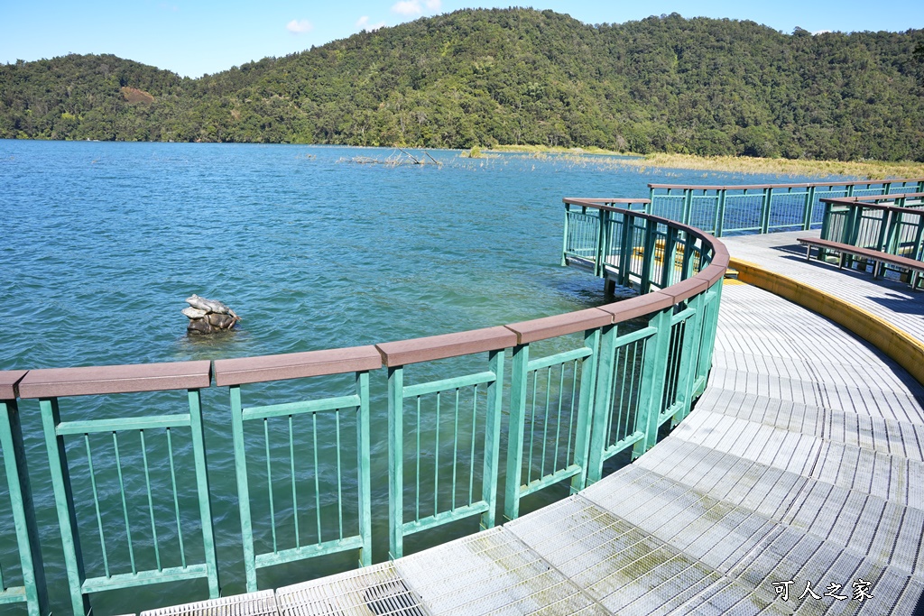 水蛙頭步道