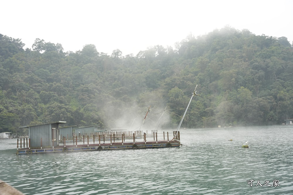 水蛙頭步道