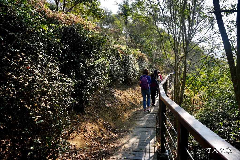 好走步道,高山美景