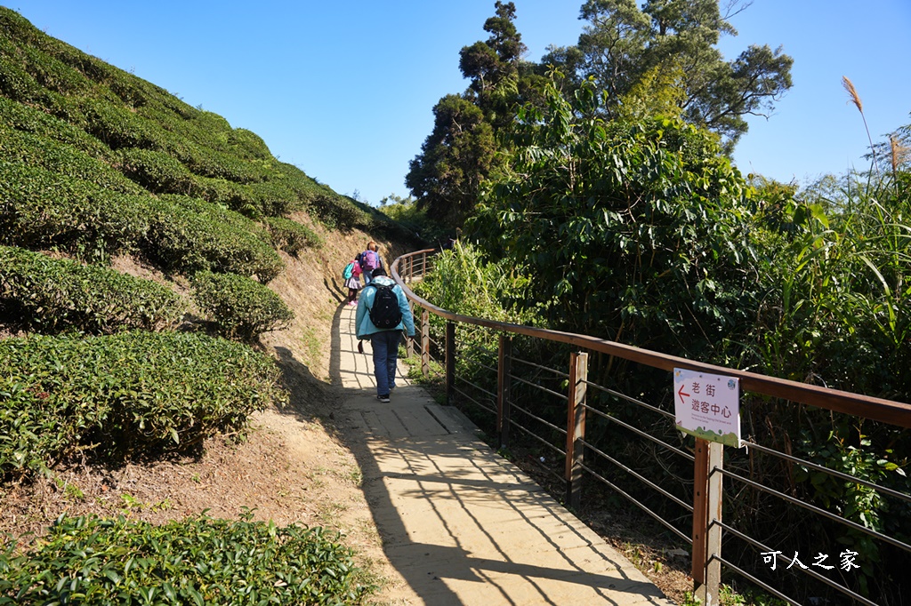 好走步道,高山美景